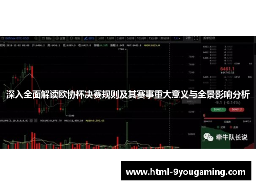 深入全面解读欧协杯决赛规则及其赛事重大意义与全景影响分析
