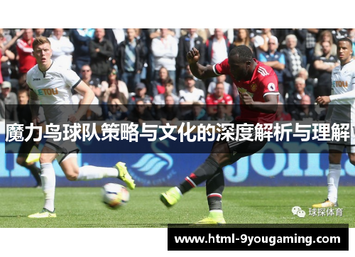 魔力鸟球队策略与文化的深度解析与理解