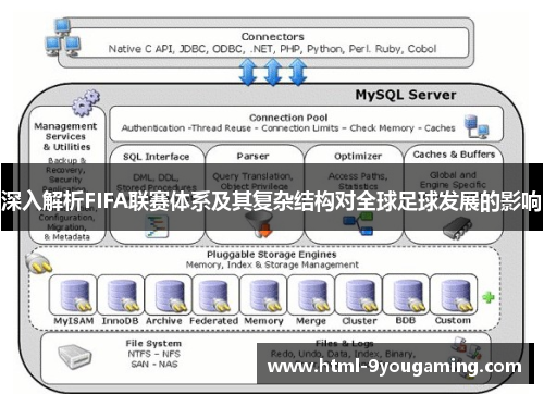 深入解析FIFA联赛体系及其复杂结构对全球足球发展的影响